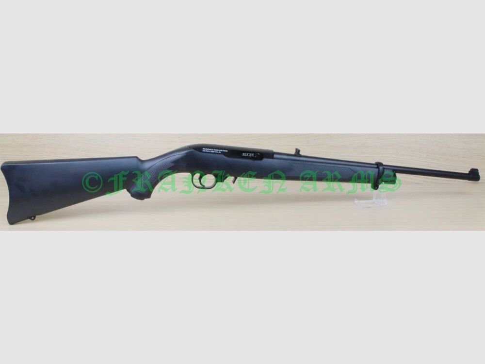 Ruger 10/22 Air Rifle