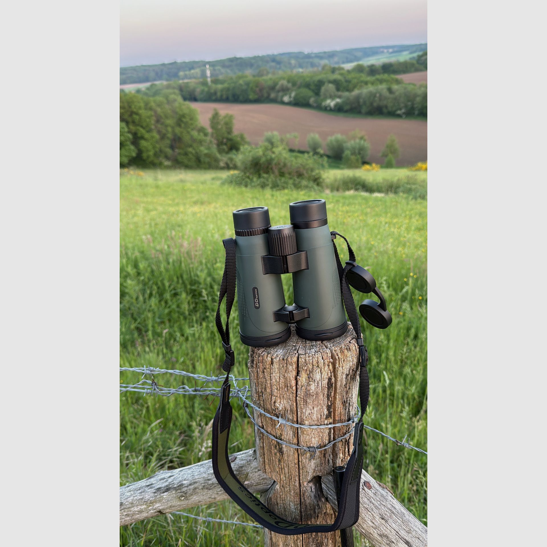 DDoptics Nighteagle Ergo Binocolo 8x56 Gen 3.1 (30 anni di garanzia di fabbrica) DEMO, immagine 3 di 3
