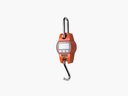 Balance numérique Interjakt 400 kg