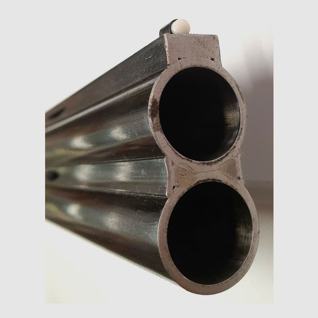 Forest Trap im mit sehr Schönen Gravuren