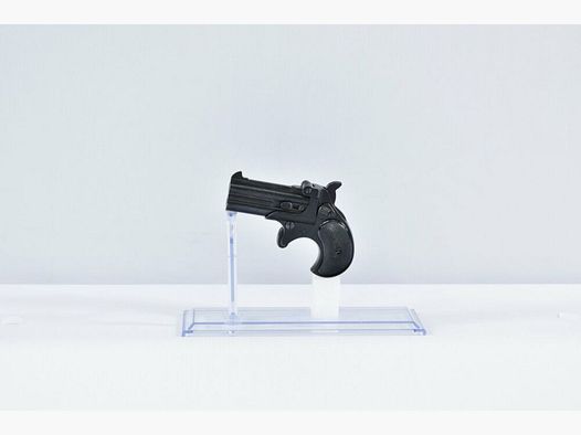 Derringer RG17 .38Special Pistolet