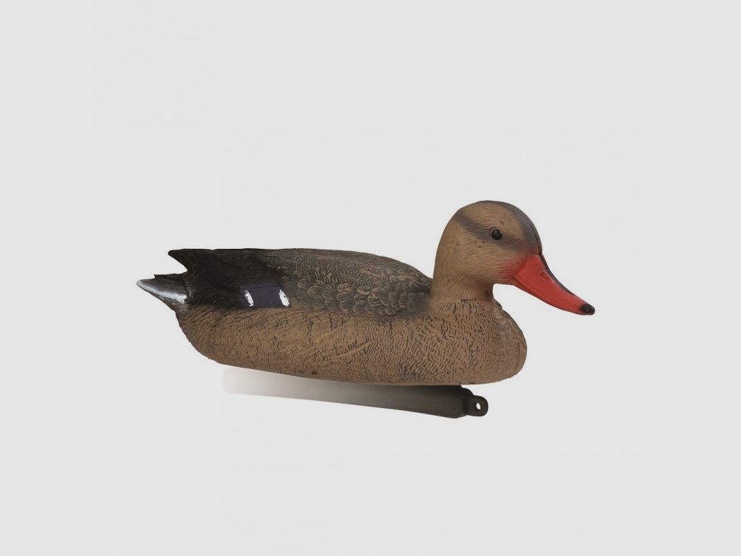 APPELANT STEPLAND STEPLAND COLVERT FEMELLE