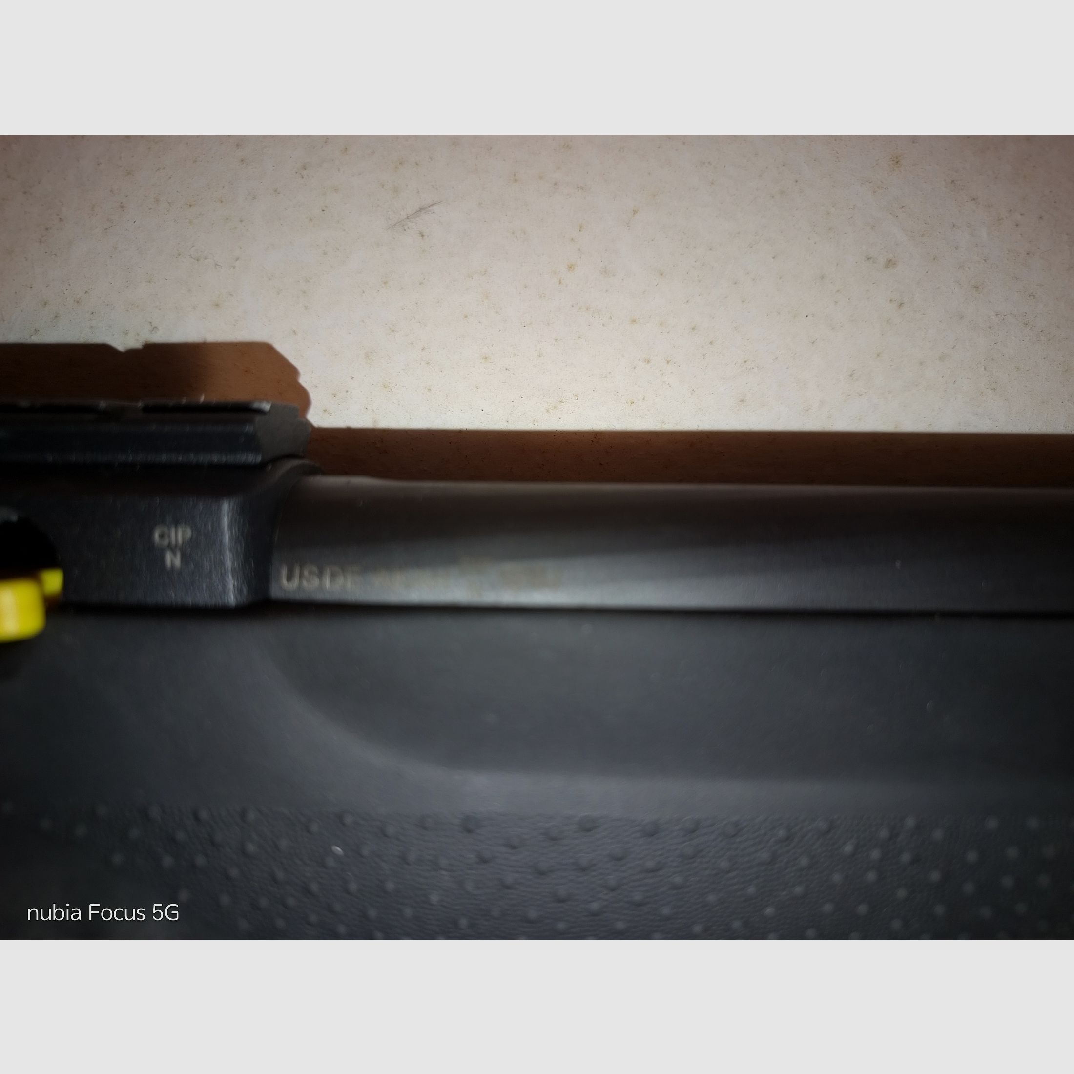 Ruger 10/22 