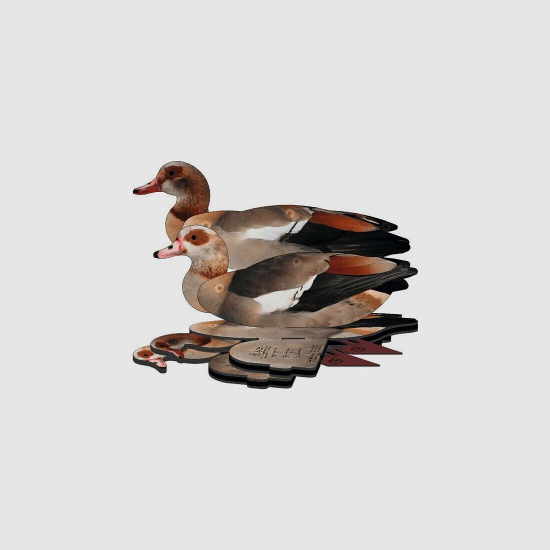 Lockvogel Nilgans 6er-Set (FUD Decoy)