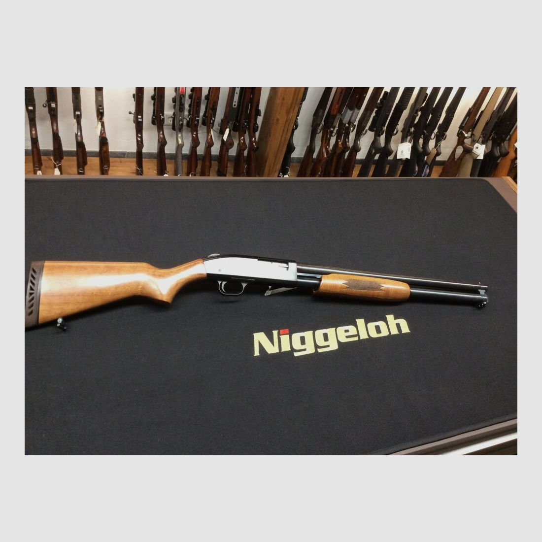 Mossberg ohne	 12/76