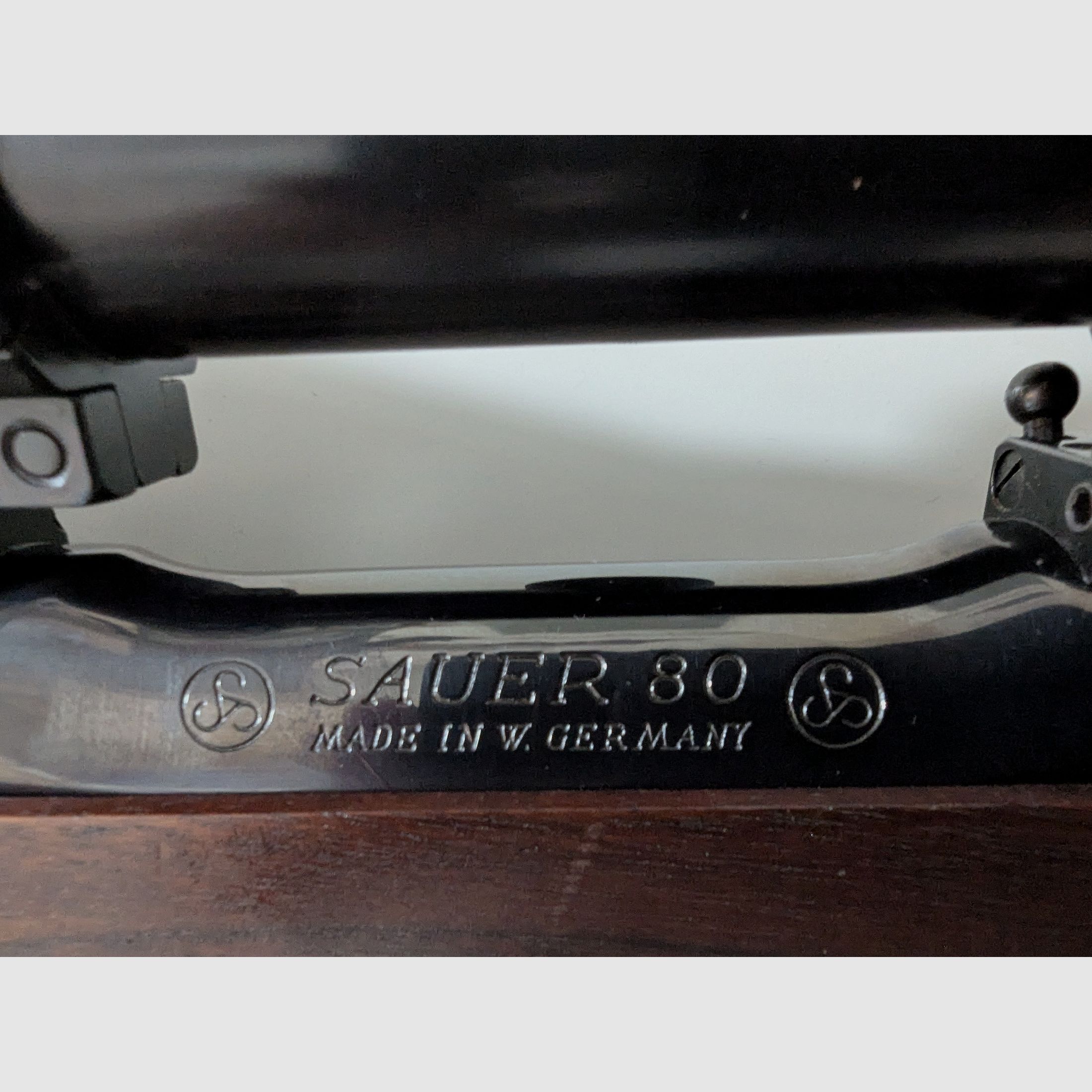 Sauer 80