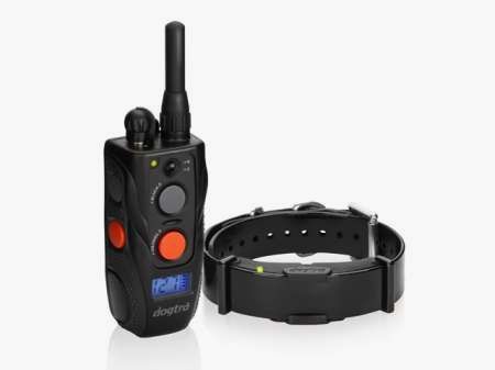 Dogtra CH800