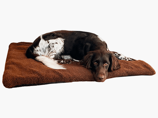 Blaser dog blanket Argali