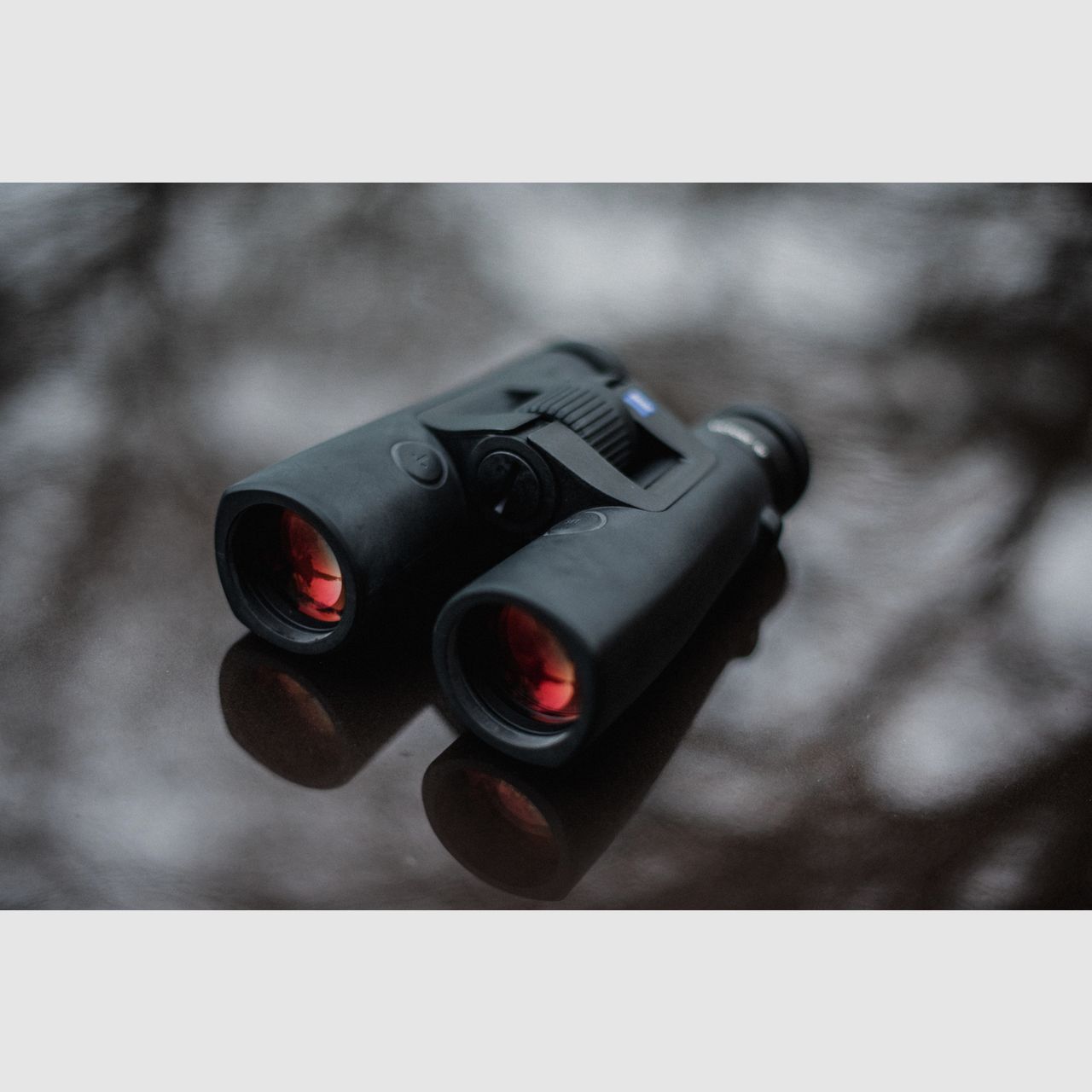 Zeiss Victory RF 10x42 negro, imagen 2 de 3