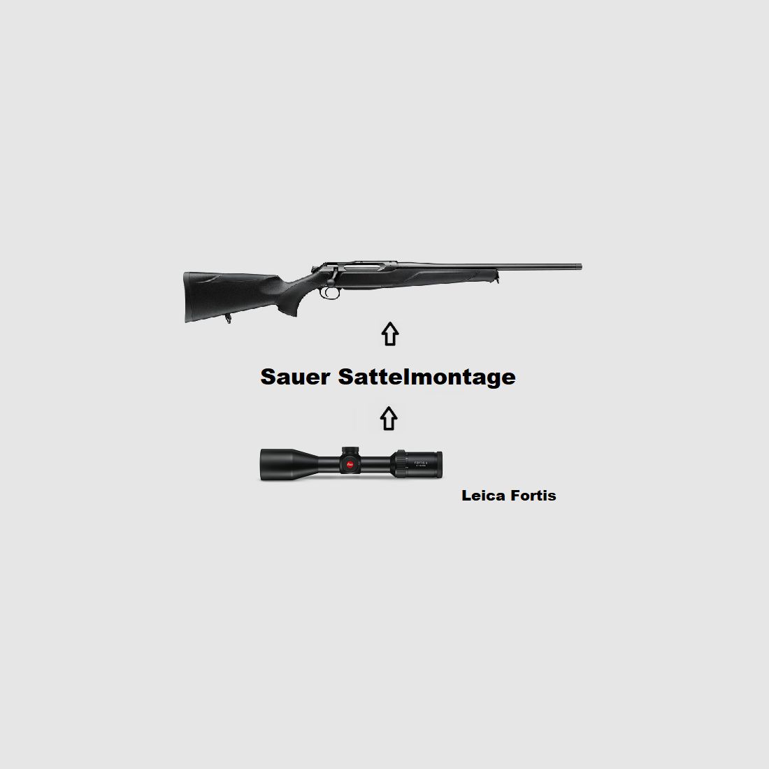 Sauer 505 ErgoMax Black + Leica Fortis + Montage + ... Komplettpaket
