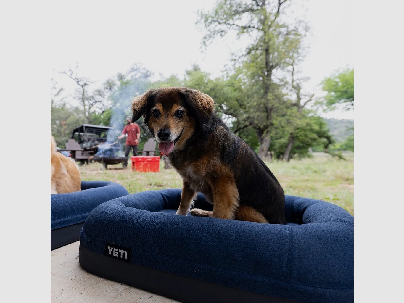 YETI® Boomer Lit pour Chien Small - Olive, image 12 sur 12