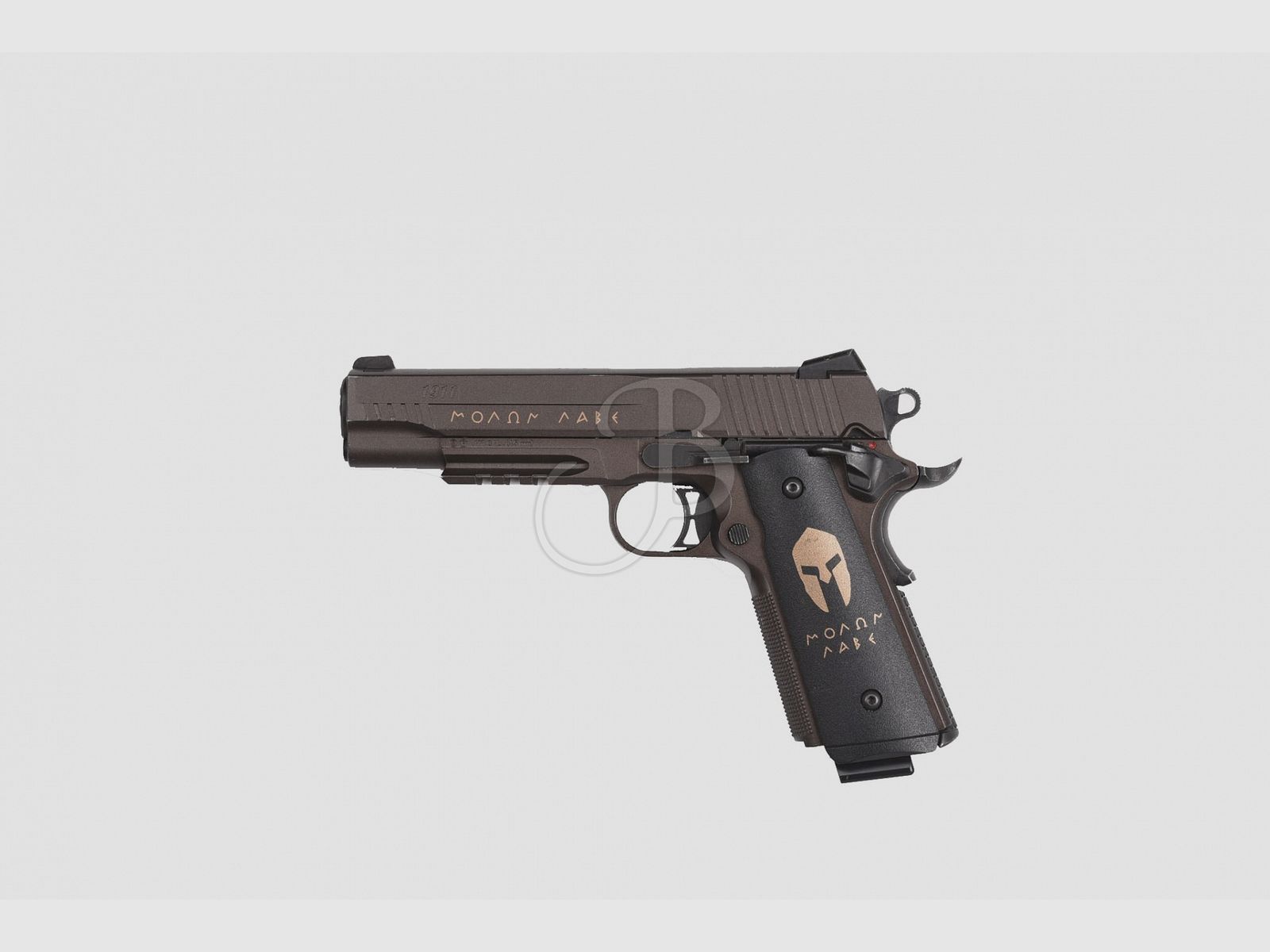 SIG SAUER 1911 Spartan, Bild 5 von 5