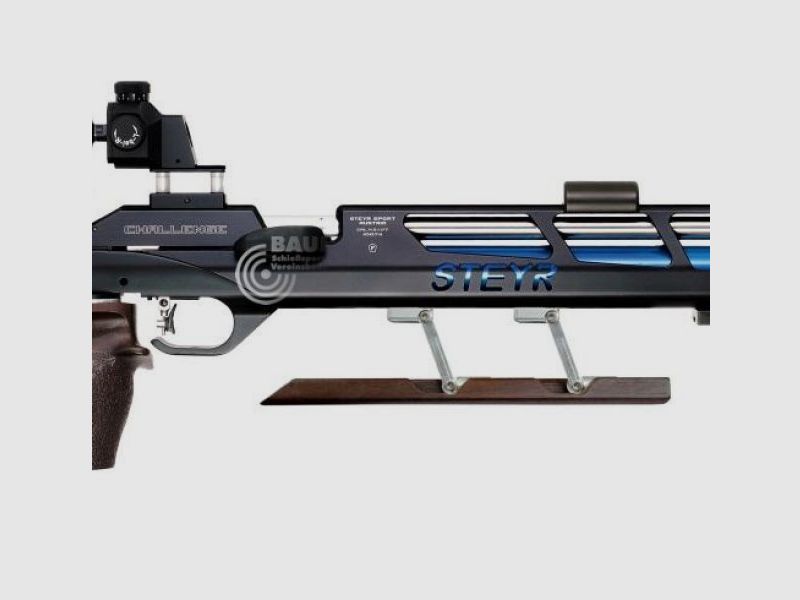 STEYR Longs Tiges pour Défi de Garde-main, 2 pcs