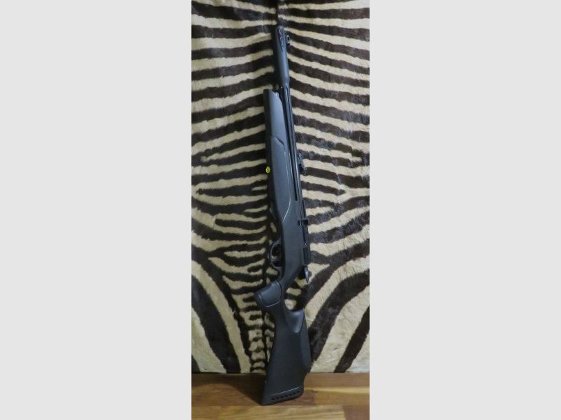PCP-Gewehr GAMO Arrow Kal.4,5mm, Bild 1 von 9