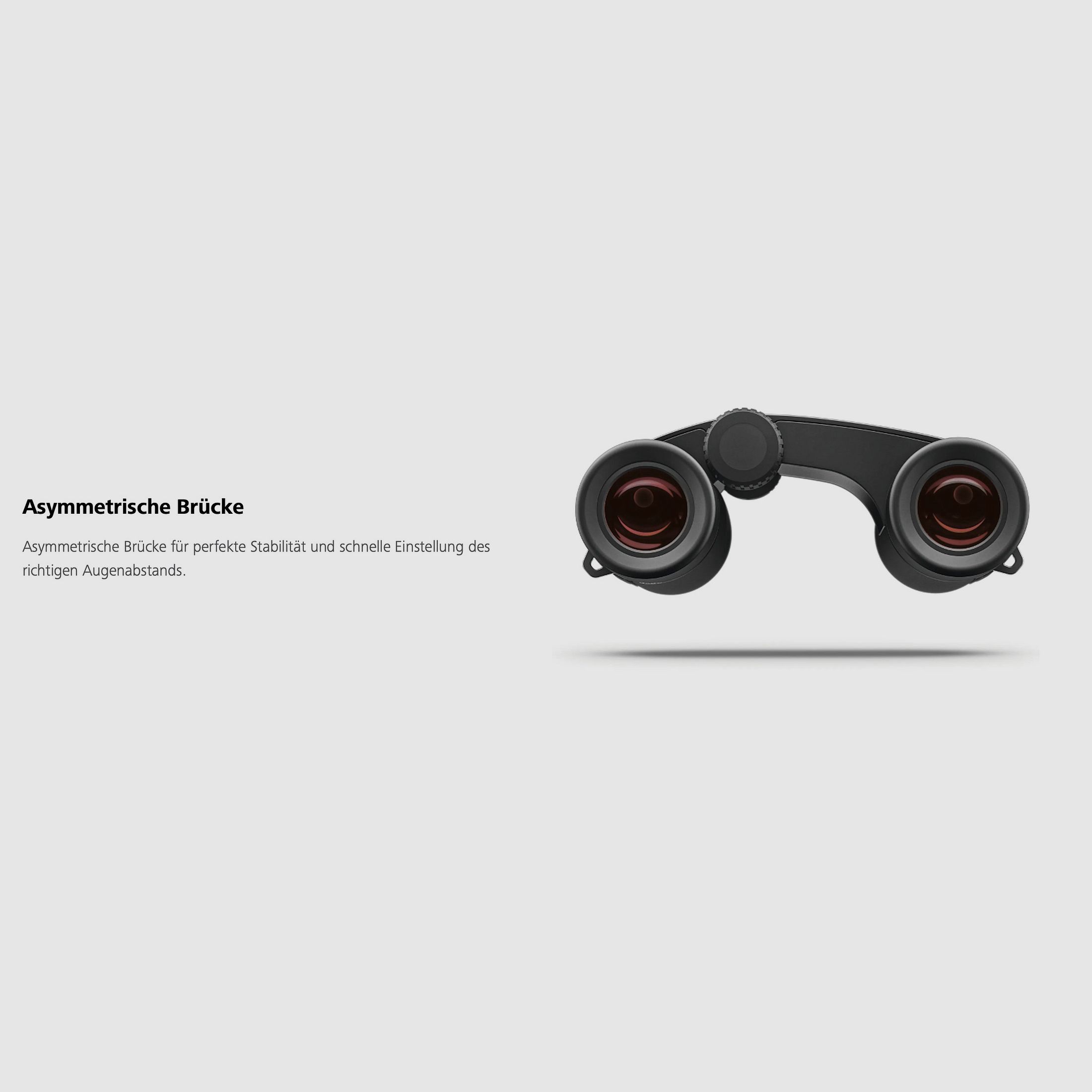 ZEISS Victory Pocket 10x25 Fernglas mit Tragriemen und Tasche