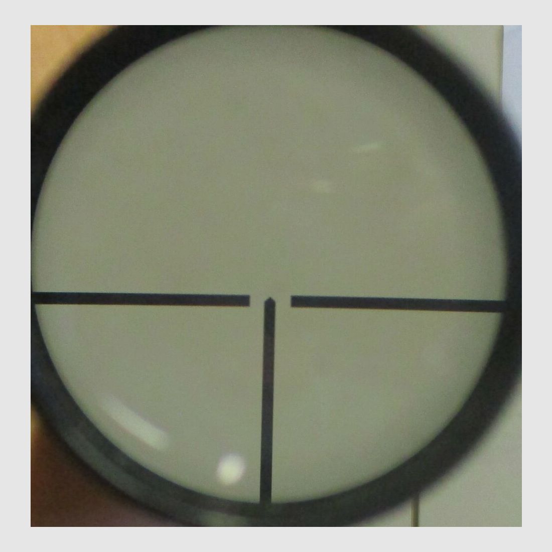 Mayoscope