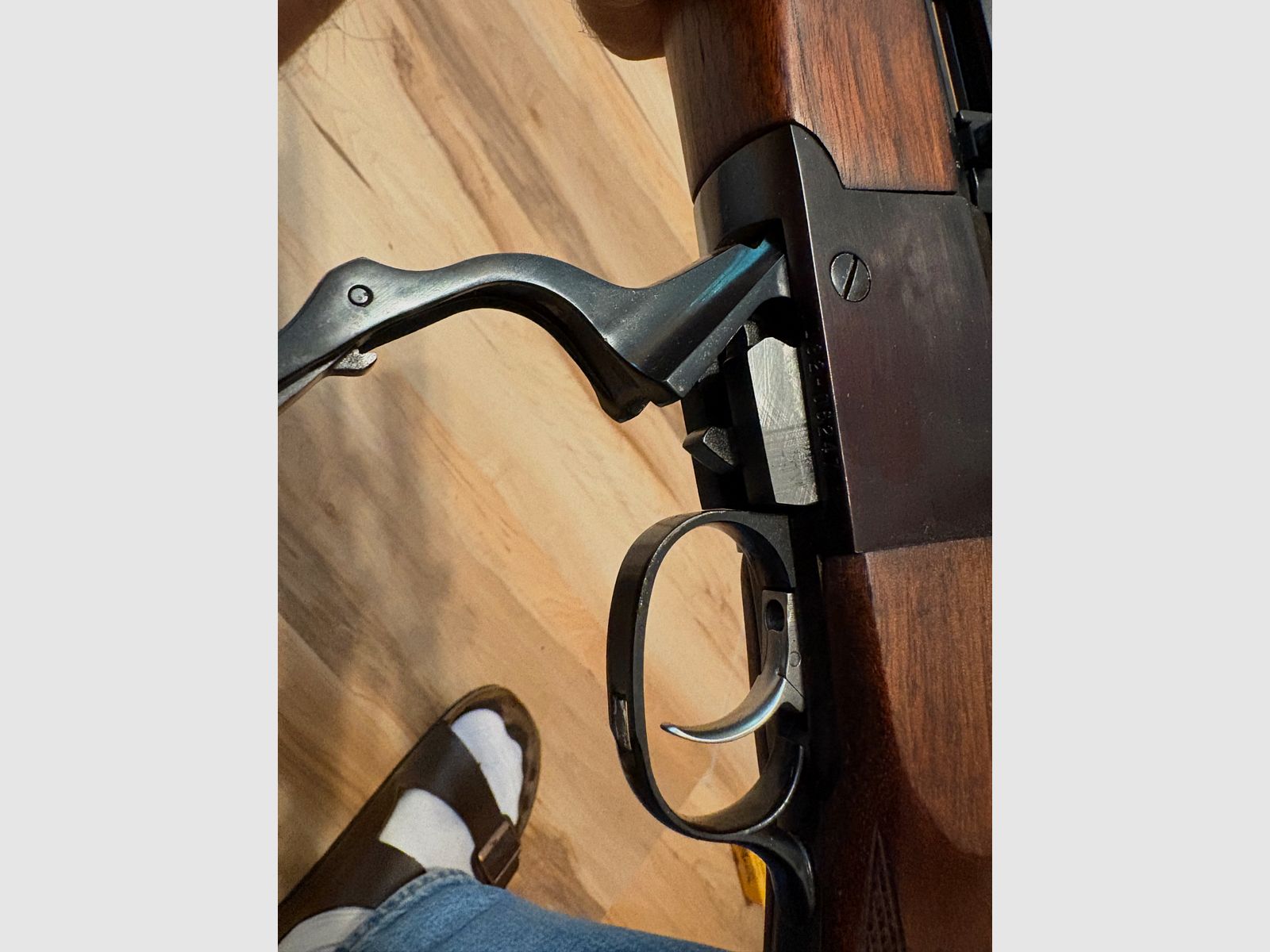 Ruger No 1 mit Zeiss ZF, Bild 2 von 8