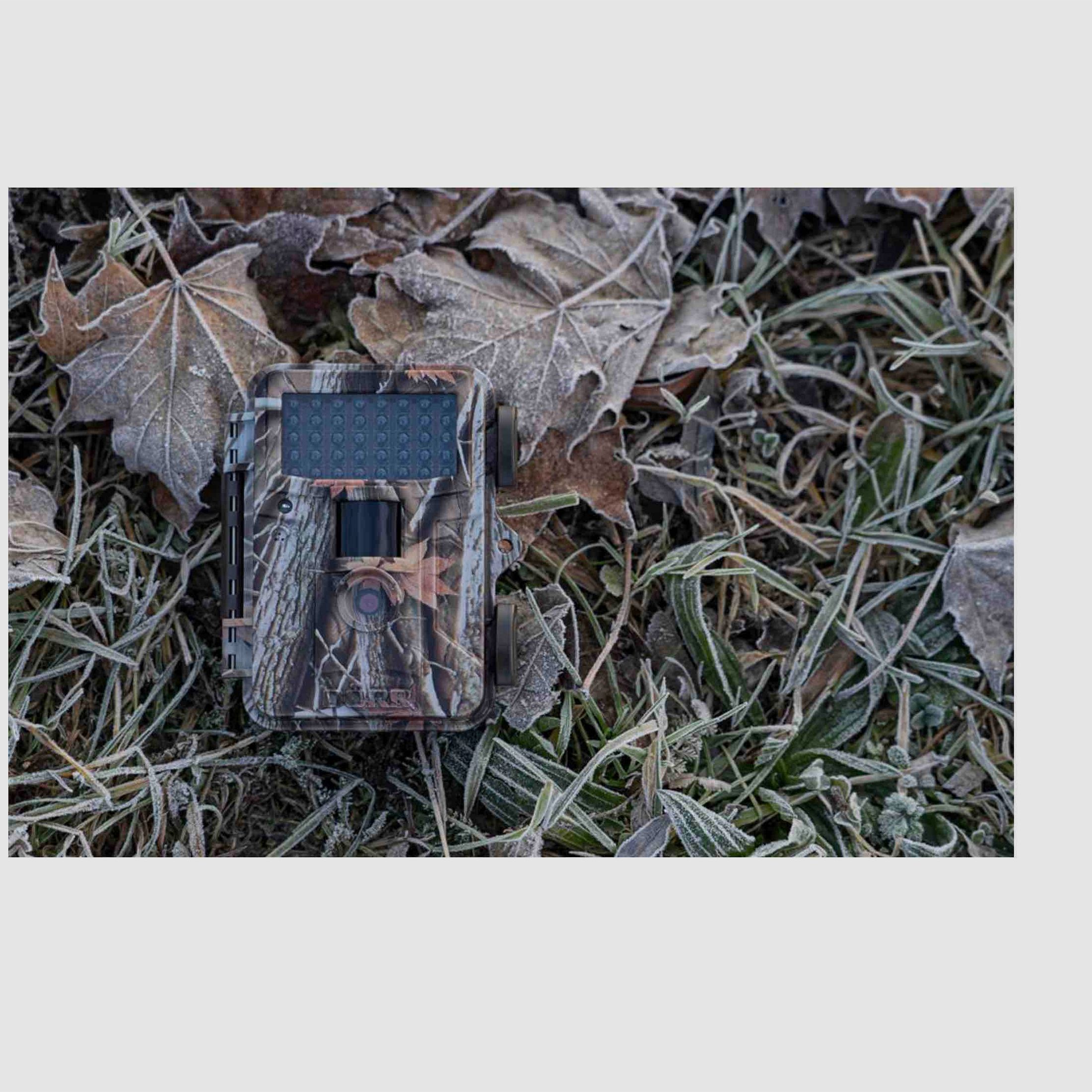 Dörr 204505 Wildkamera Fotofalle Snapshot Mini Black 12 MP HD Camouflage 40 Black LEDs