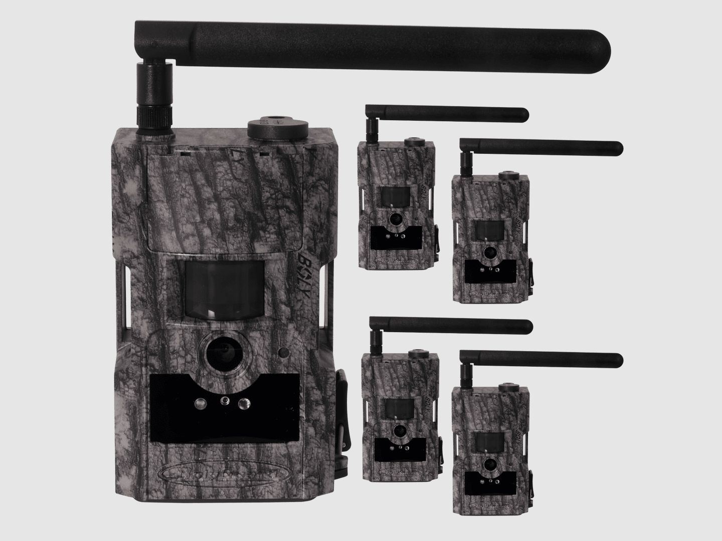 Pack de 5 caméras de chasse Bolyguard BG584G 4G - incluant une carte SIM Molnus de 3 mois