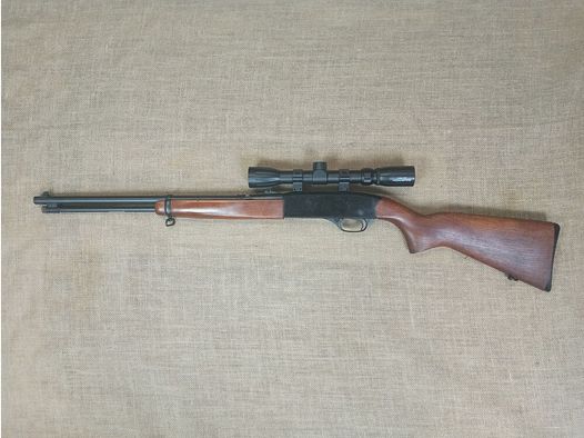 Winchester model 190