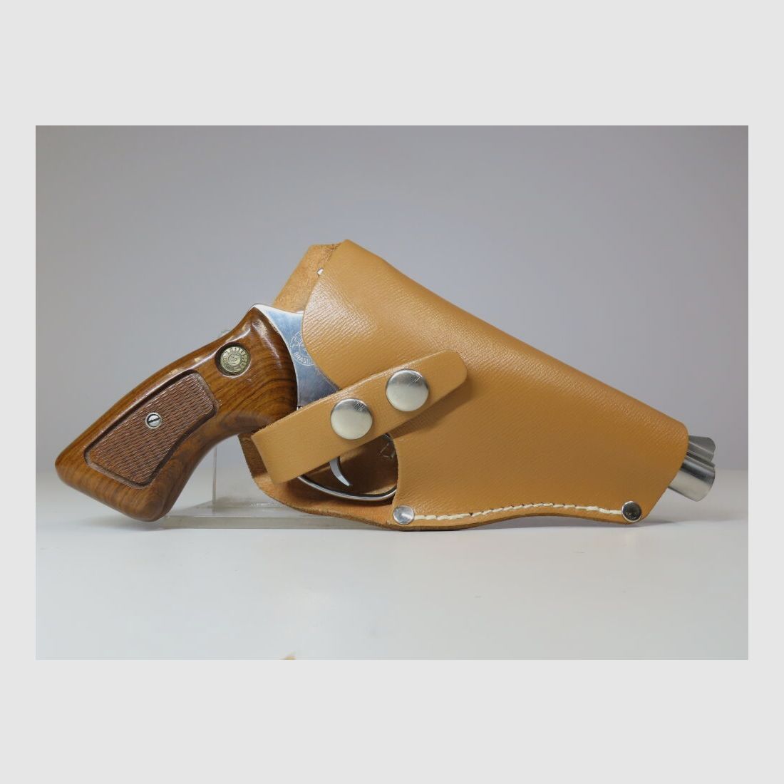 Taurus 94 in Stainless incl. Holster!