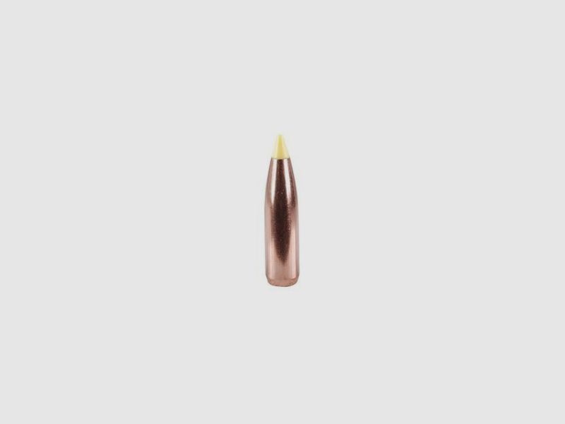 Balles cal. 270-150-Spitzer Nosler Ballistic Tip (