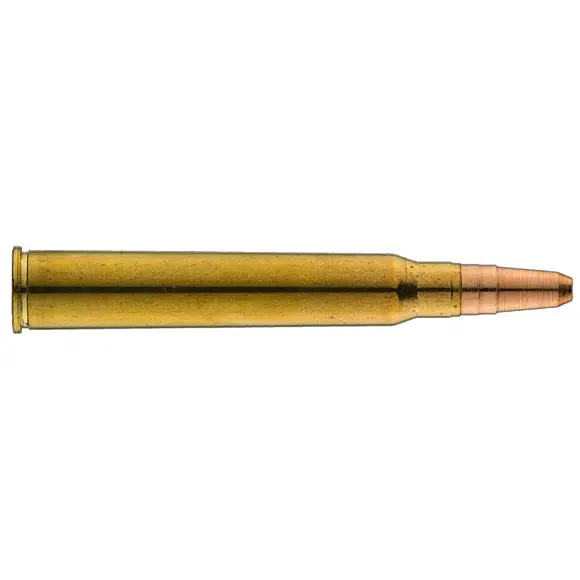 Jagdbälle Sologne GPA Kaliber 30R Blaser, Bild 3 von 8