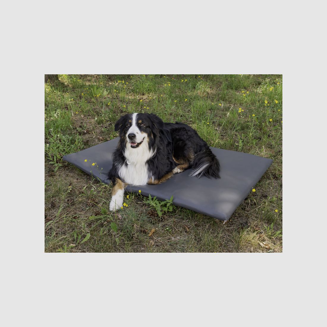 Reimo Dog Mattress - Tailgate Cover for VW T5/T6 California, image 3 of 6