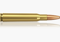 .30-06 Oryx 180 gr. - 20 pcs