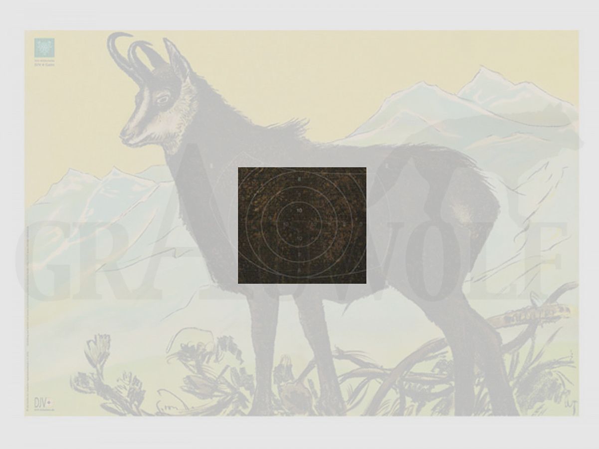 Mirror for DJV Target No.4 Chamois