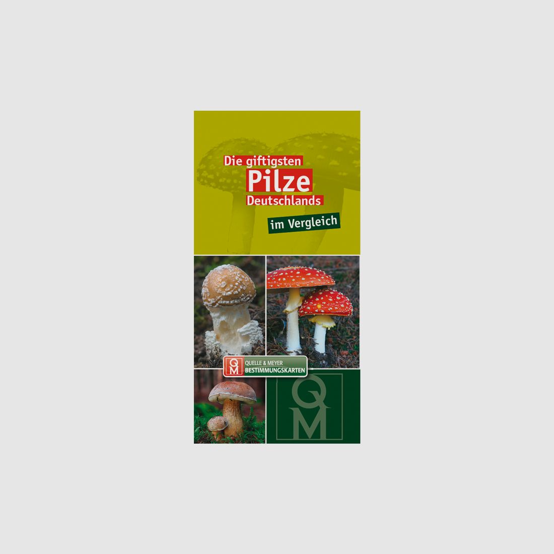 Bestimmungskarte „Die giftigsten Pilze Deutschlands“