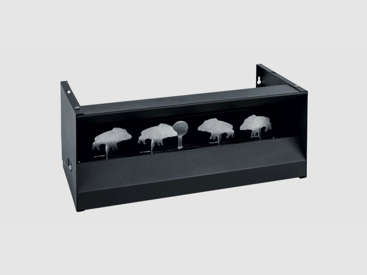 Silhouettenkasten mit 5 Zielen