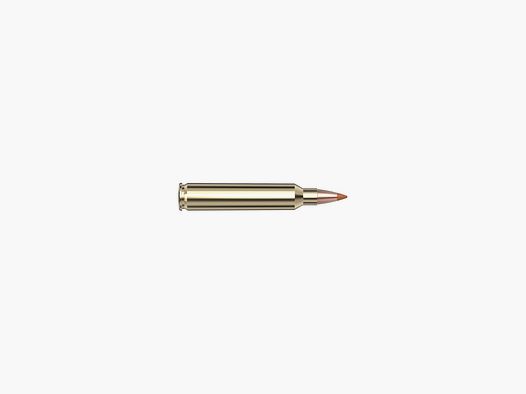 Hornady 204 Ruger 24 gr NTX® Superformance® Varmint – 20 Stk.