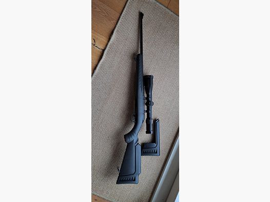 Ruger 17 HMR