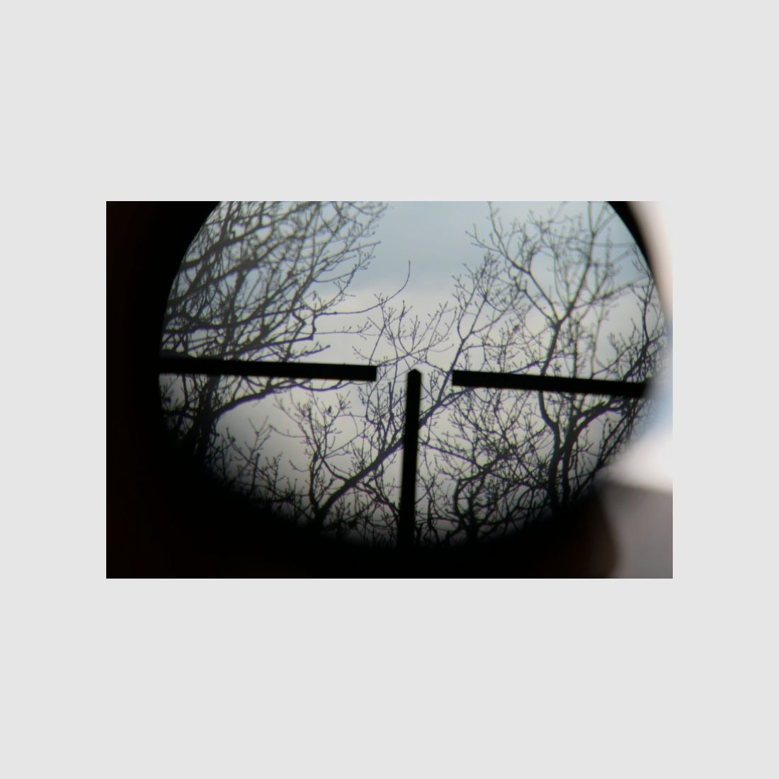 Repetierbüchse Voere Titan II 8x68S Voerenbach mit deutschem Stecher