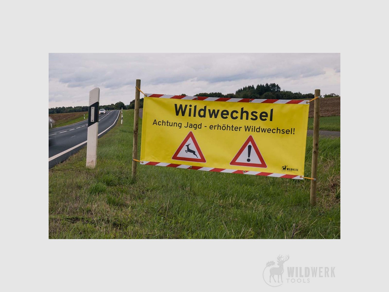 Warning Sign "Wildlife Crossing"