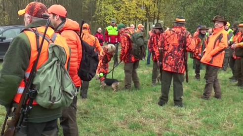 Drückjagd Herbst 2015