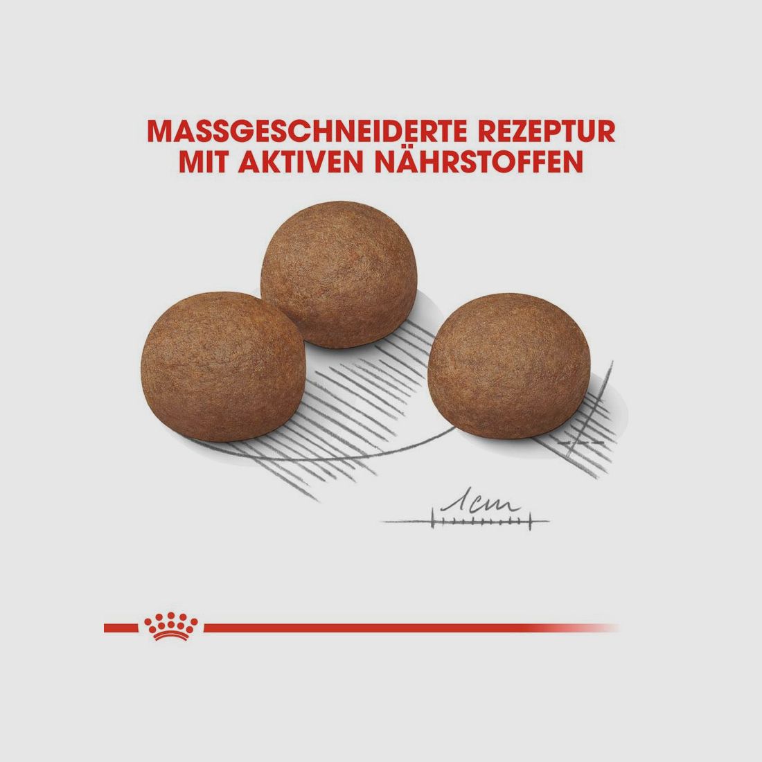 ROYAL CANIN Große Hunde Trockenfutter Digestive Care Maxi für empfindliche Verdauung 12 Kg