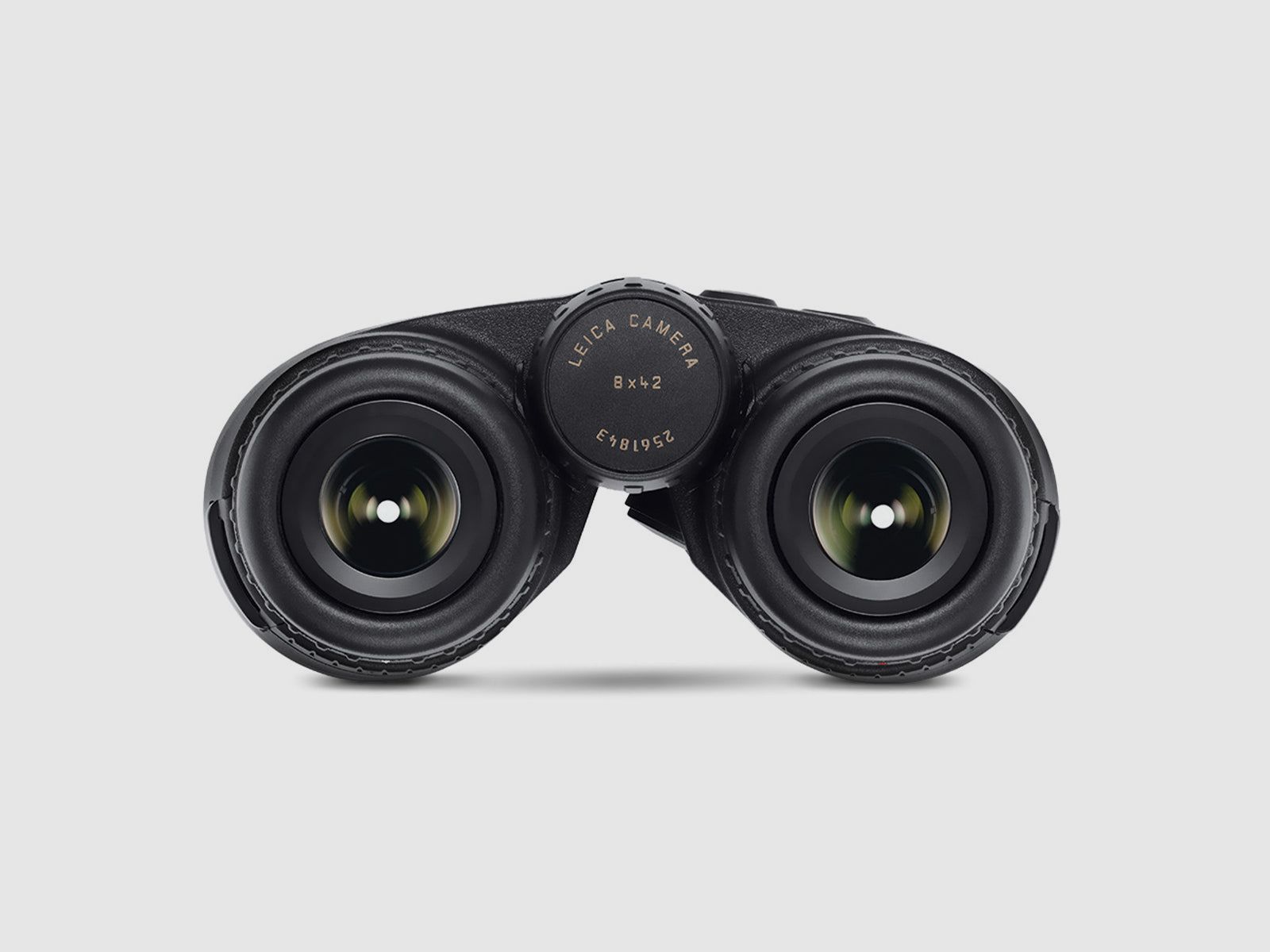 Jumelles Leica Geovid R avec télémètre 8×42 Noir, image 7 sur 8