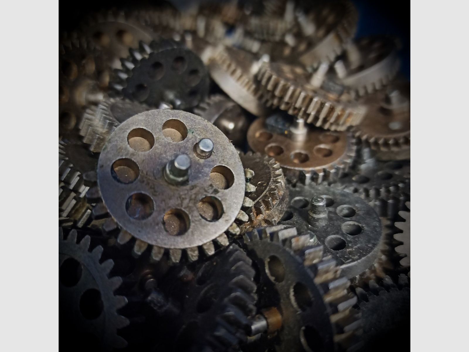 Sectorgear ohne Clip/Delayer (A.N.-Limited)