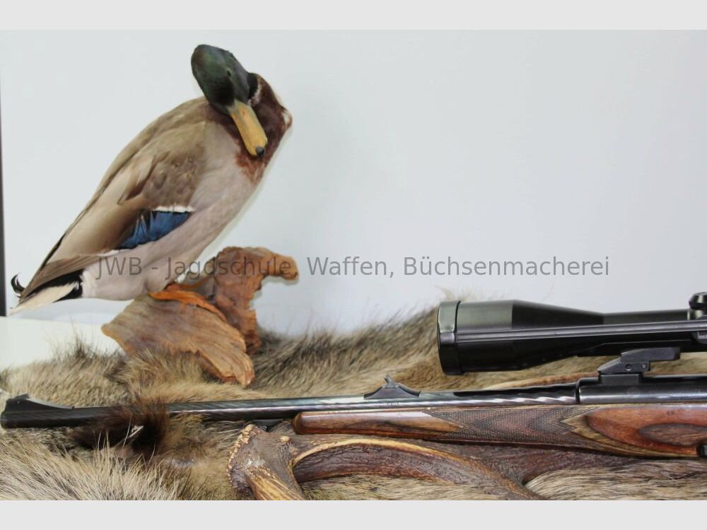 Steyr Mannlicher Jagdmatch L mit Zeiss Diavari .308Win