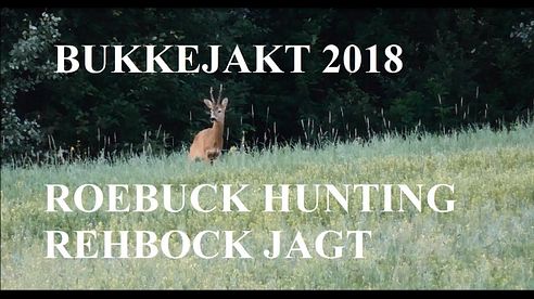 Bukkejakt 2018/Roebuck hunting/Rehbock jagt