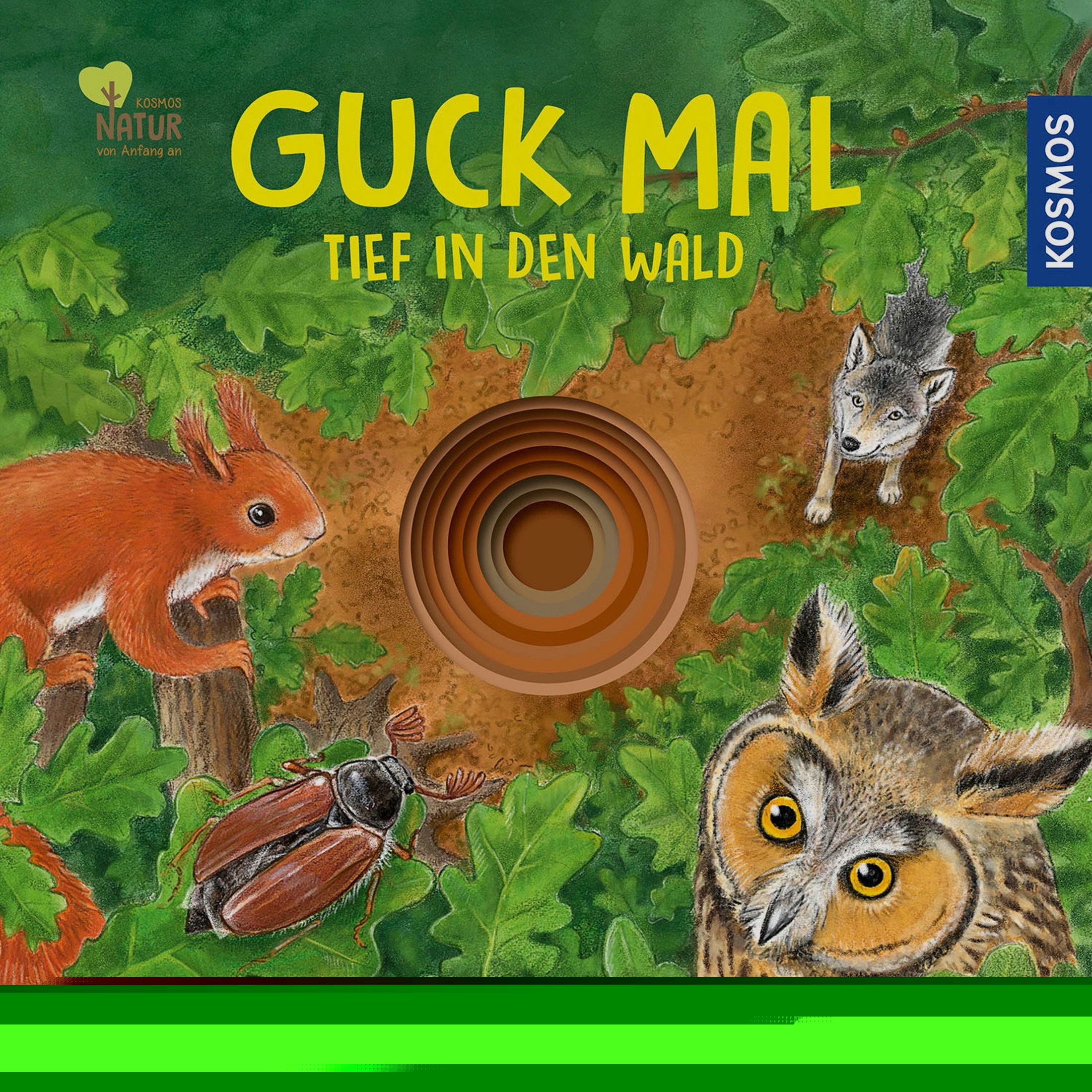Guck mal tief in den Wald