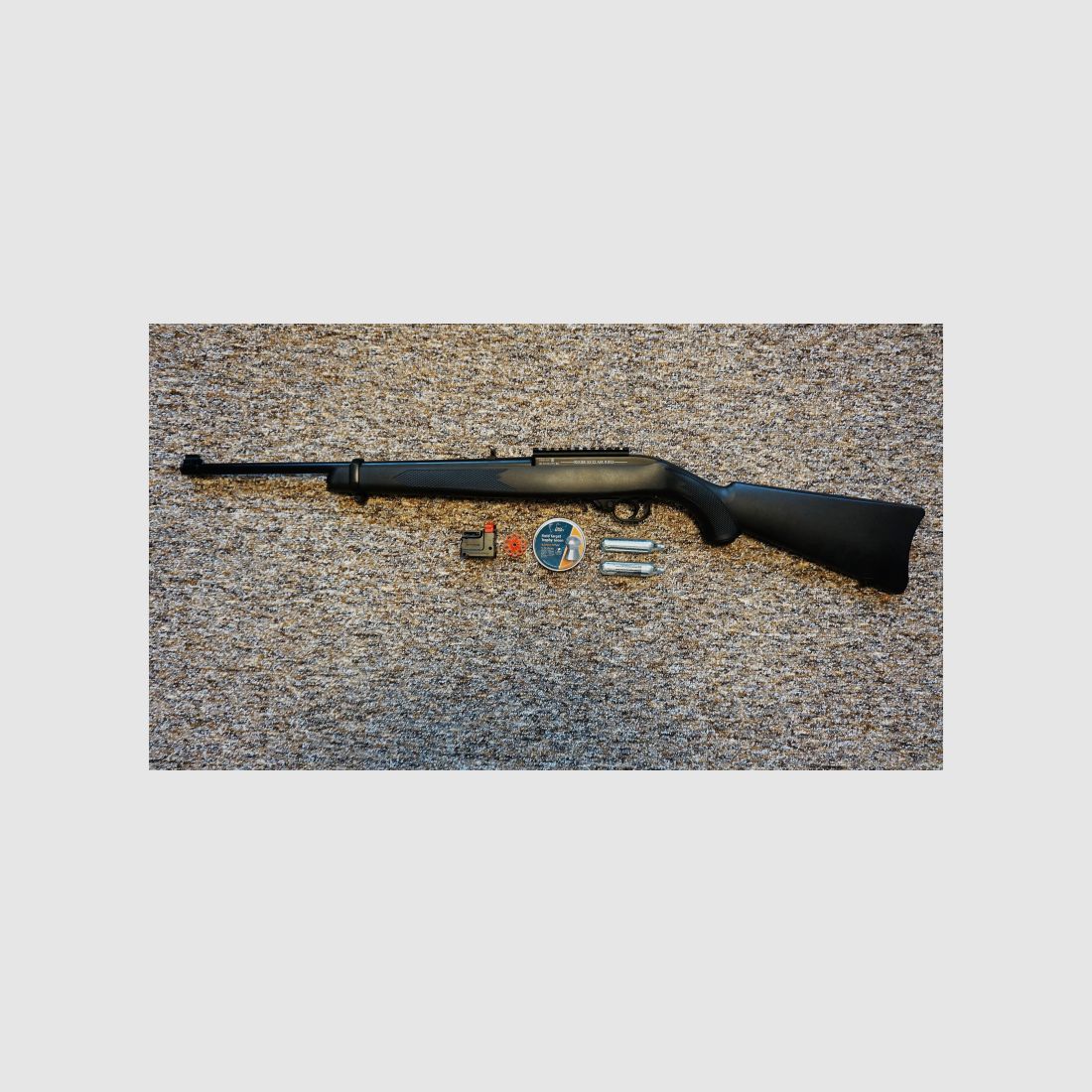 Ruger 10/22 CO2