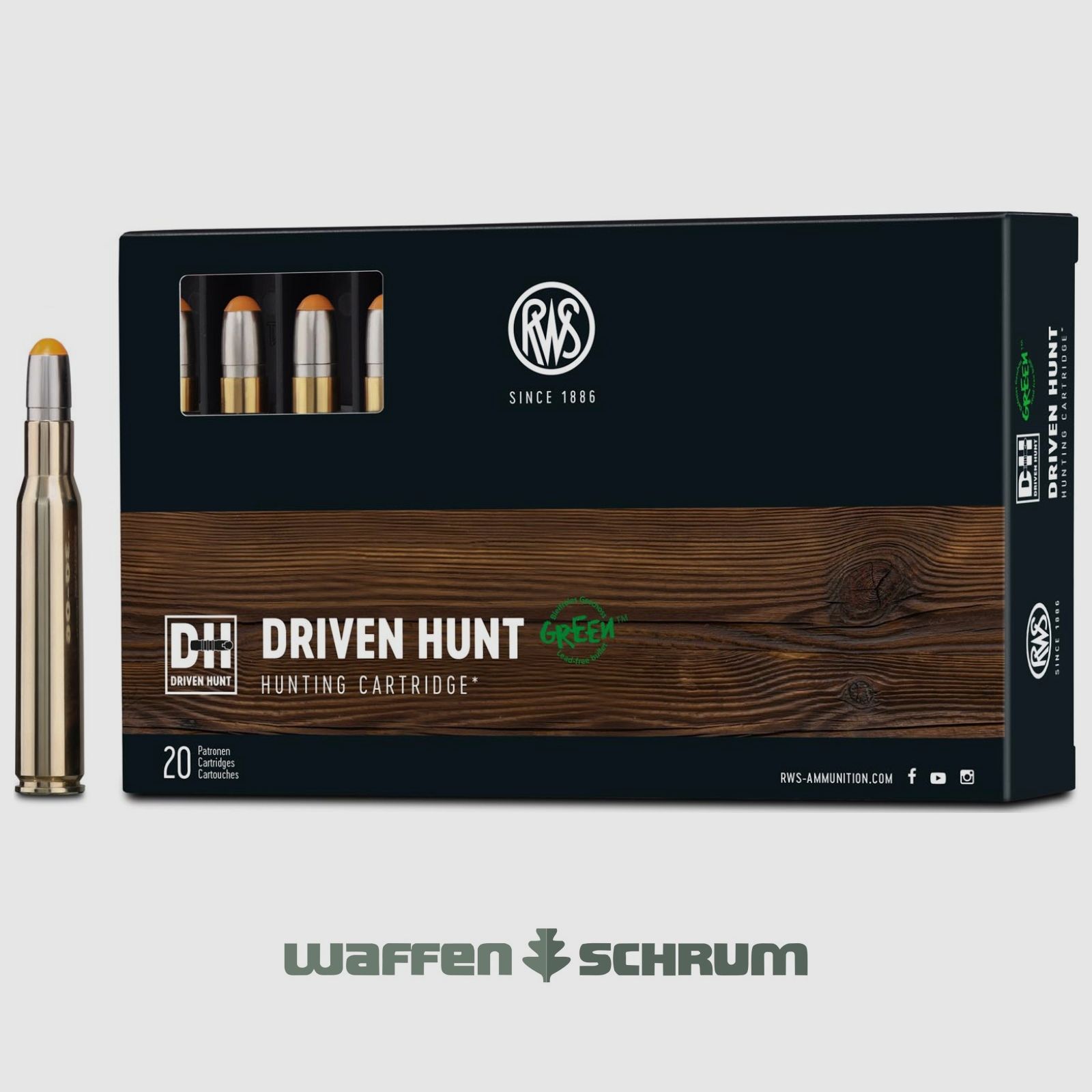 RWS Driven Hunt 10,7g - 165gr .30-06Spring