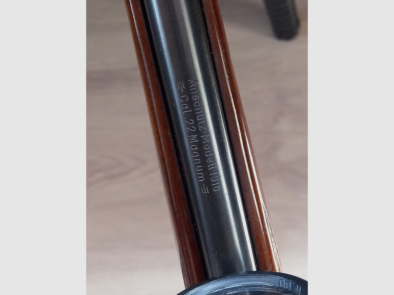 Anschütz 1516 in .22 WMR