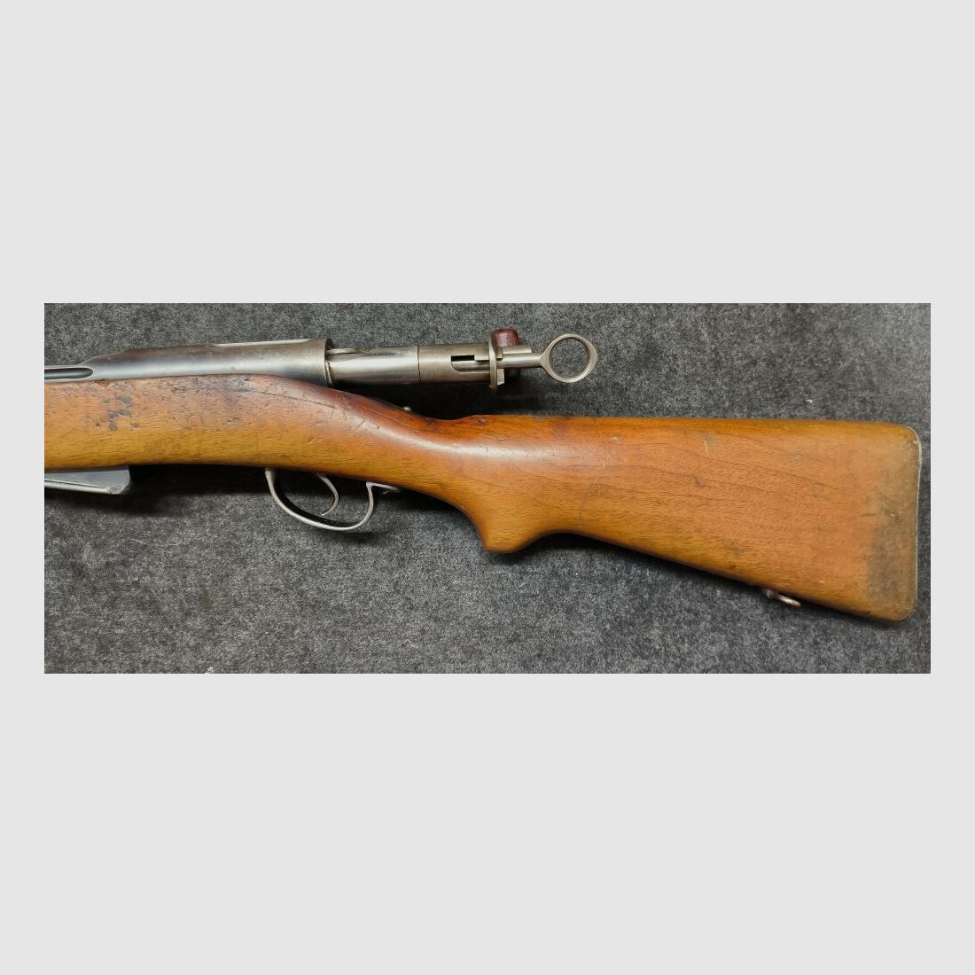 Schmidt Rubin G11