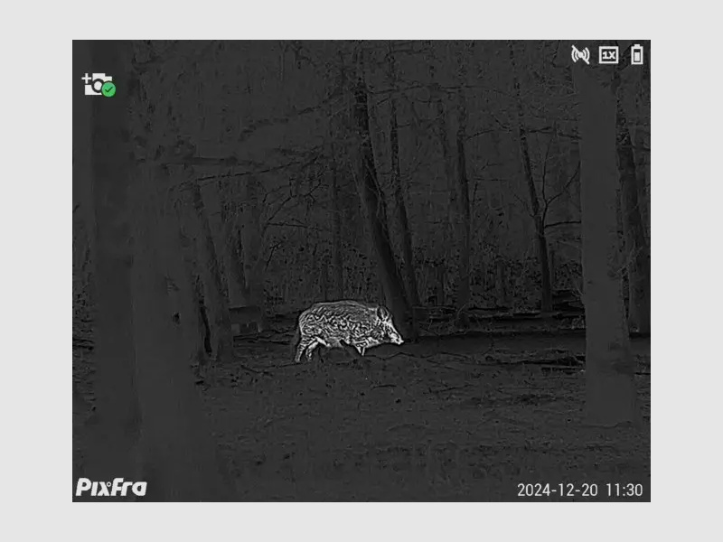 Pixfra Wärmebildmonokular Sirius S650D