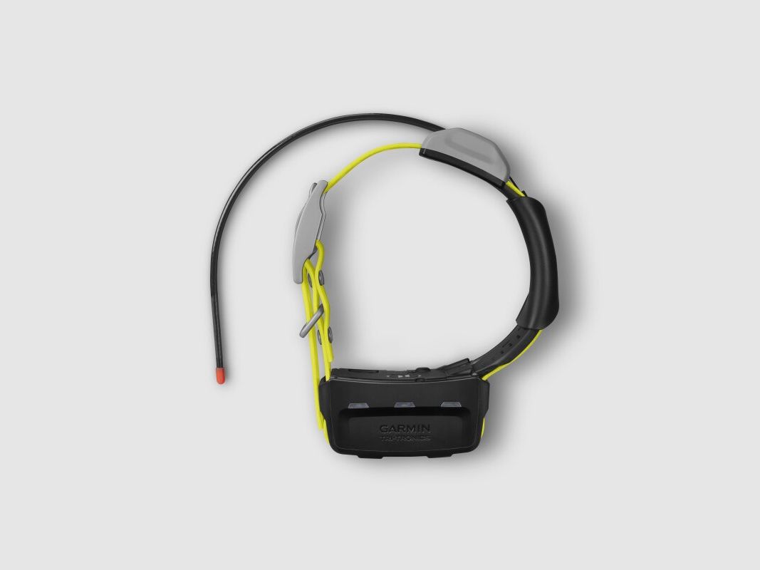 Garmin K5X Dog Tracking Collar