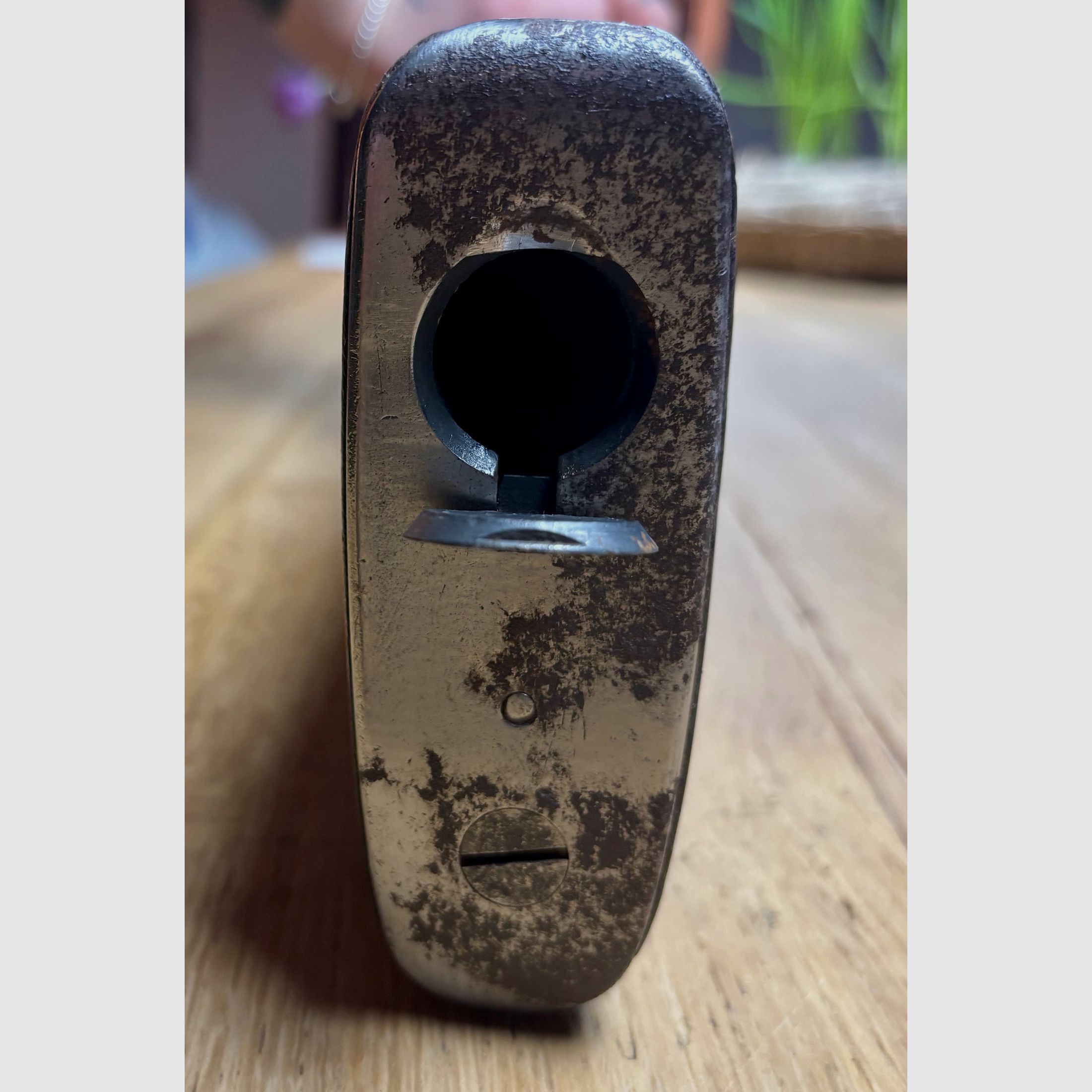 Winchester P17 / .30-06 Printemps